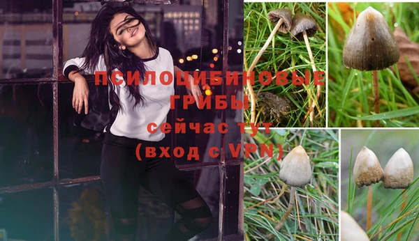 каннабис Валдай