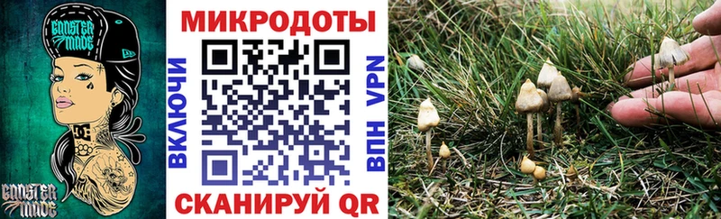 Галлюциногенные грибы Psilocybe  наркота  Шуя 