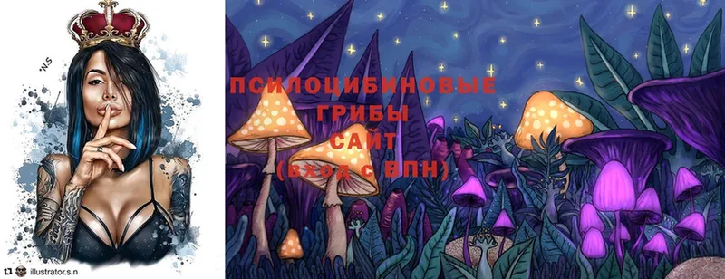 omg вход  Шуя  Галлюциногенные грибы MAGIC MUSHROOMS  даркнет сайт 