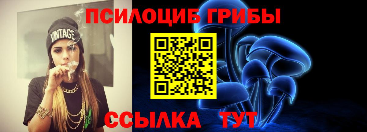 Псилоцибиновые грибы MAGIC MUSHROOMS Шуя